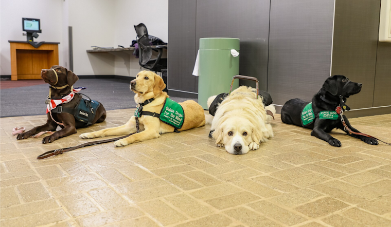 Orlando Graduates 13 Service Dogs, Giving Disabled Veterans and Kids $50K Companions Free