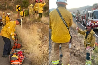 Ortega Highway Rescue Pulls Driver From Steep Embankment, Fire Crews Warn of Danger