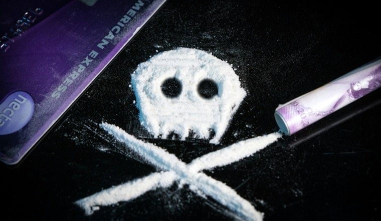 Paducah Woman, Illinois Woman Charged After Two-Pound Meth Parcel Case