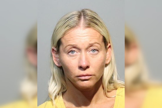 Palm Coast Woman Left Dog And Cat To Starve In Powerless Home, Deputies Say