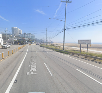 Pampered Pups Found Alone at Will Rogers State Beach as Woman Vanishes