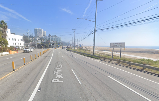 Pampered Pups Found Alone at Will Rogers State Beach as Woman Vanishes