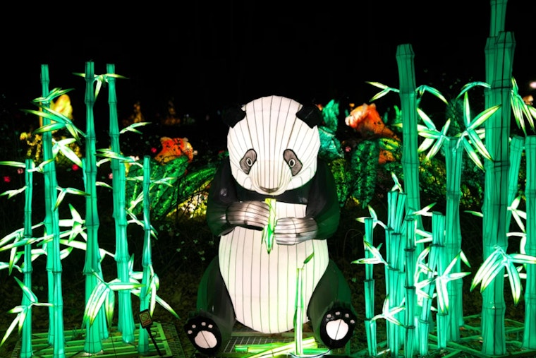 Panda Fest Floods Downtown DC With 200 Food Stalls and a Bounce House