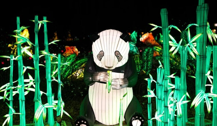 Panda Fest Floods Downtown DC With 200 Food Stalls and a Bounce House