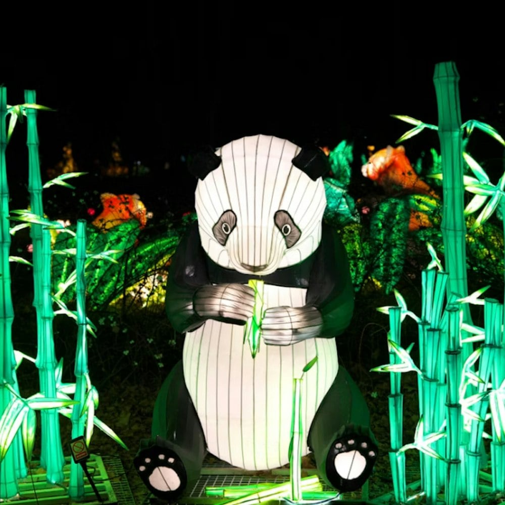 Panda Fest Floods Downtown DC With 200 Food Stalls and a Bounce House