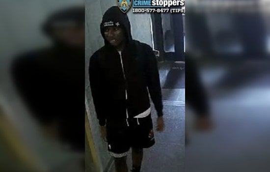 Parkchester Burglar Busts Down Apartment Door, Smashes TV, Vanishes on Foot