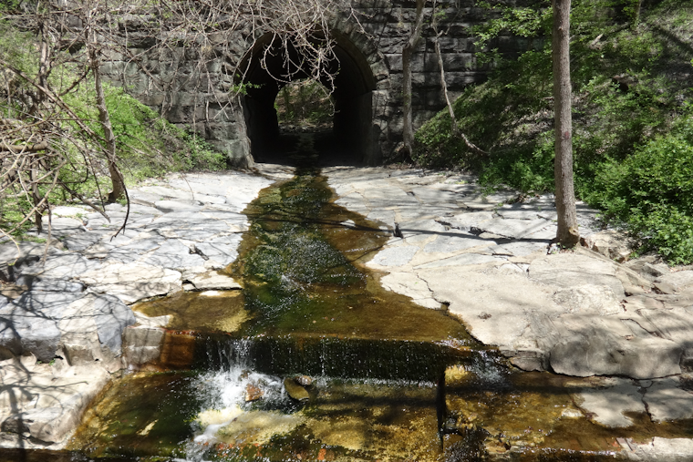 Patapsco Valley State Park Adds 10 Miles of New Trails