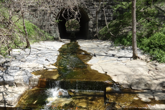Patapsco Valley State Park Adds 10 Miles of New Trails