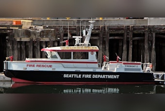 Patient Critical After Lake Washington Rescue Near S. Alaska Street
