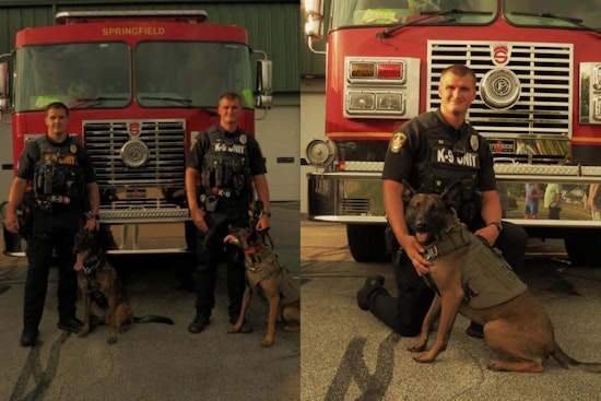 Paws and Pistons: 200 Rides Pack Springfield Township Cars for K9s Show