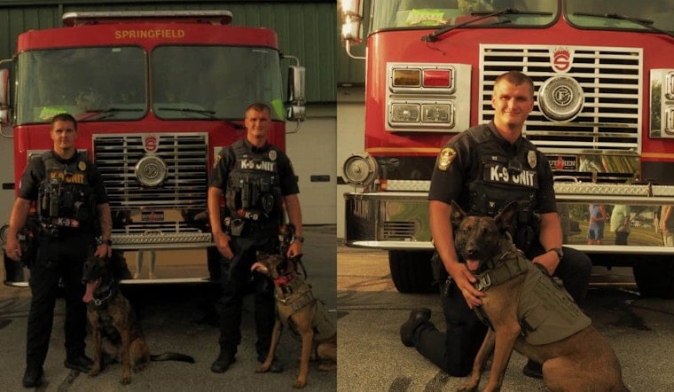 Paws and Pistons: 200 Rides Pack Springfield Township Cars for K9s Show