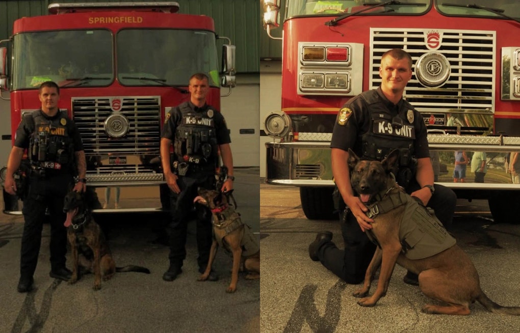Paws and Pistons: 200 Rides Pack Springfield Township Cars for K9s Show