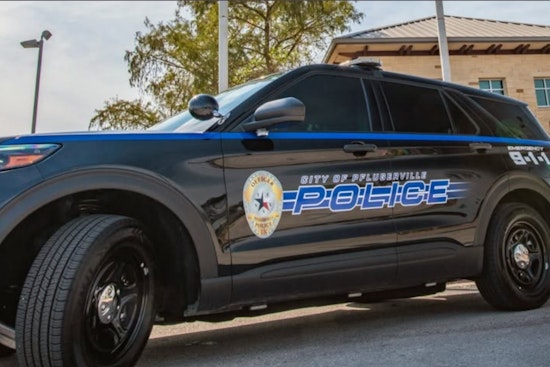 Pflugerville Police Pull Dog From Home After Viral Abuse Video Surfaces