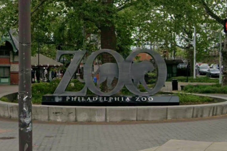 Philadelphia Zoo African Culture Fest With Odunde365 Saturday