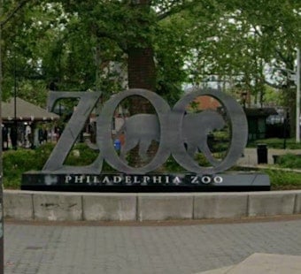 Philadelphia Zoo African Culture Fest With Odunde365 Saturday