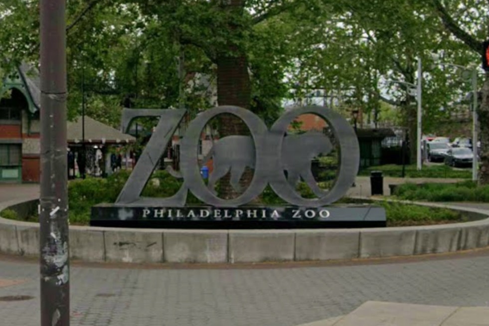 Philadelphia Zoo African Culture Fest With Odunde365 Saturday