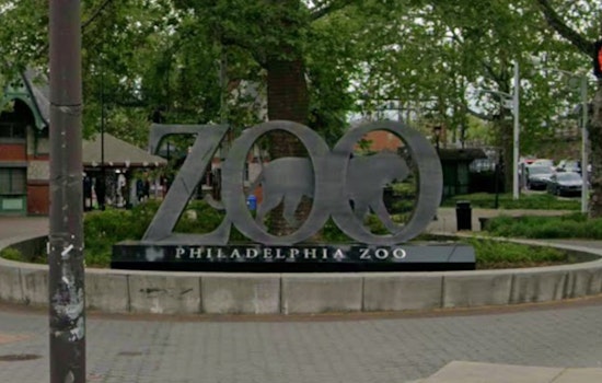 Philadelphia Zoo African Culture Fest With Odunde365 Saturday