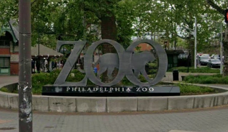 Philadelphia Zoo African Culture Fest With Odunde365 Saturday
