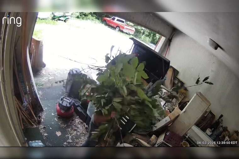 Pickens County Car Thief Hides Behind Branches, Camera Catches His Face Anyway