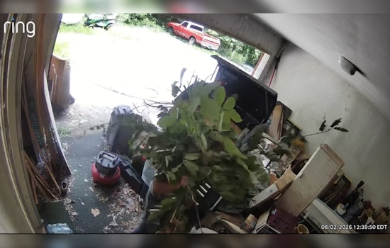 Pickens County Car Thief Hides Behind Branches, Camera Catches His Face Anyway