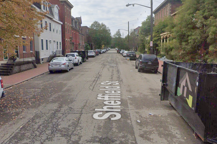 Pittsburgh Man Charged With Stabbing Dog on Sheffield Street