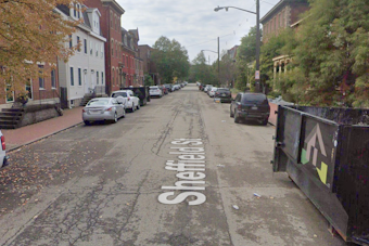 Pittsburgh Man Charged With Stabbing Dog on Sheffield Street