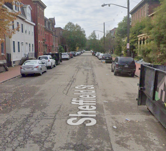 Pittsburgh Man Charged With Stabbing Dog on Sheffield Street