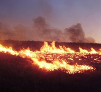 Plane Plunge Near Guymon Airport Sparks Wildfire, Triggers Panhandle Evacuations