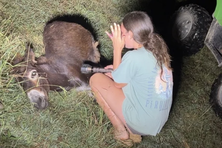 Polk County Officers Shoot Farm Donkey Dead During Late-Night Search, One on Leave
