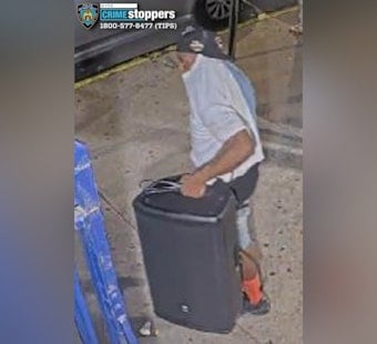 Pre-Dawn Burglar Slips Into South Bronx School, Grabs Speaker, Vanishes
