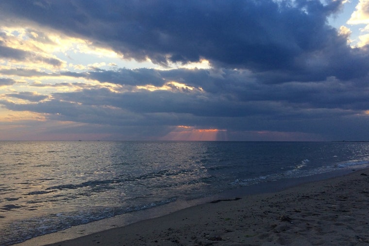 81-Year-Old Woman Dies in Herring Cove Rip Current, Two Others Pulled to Safety