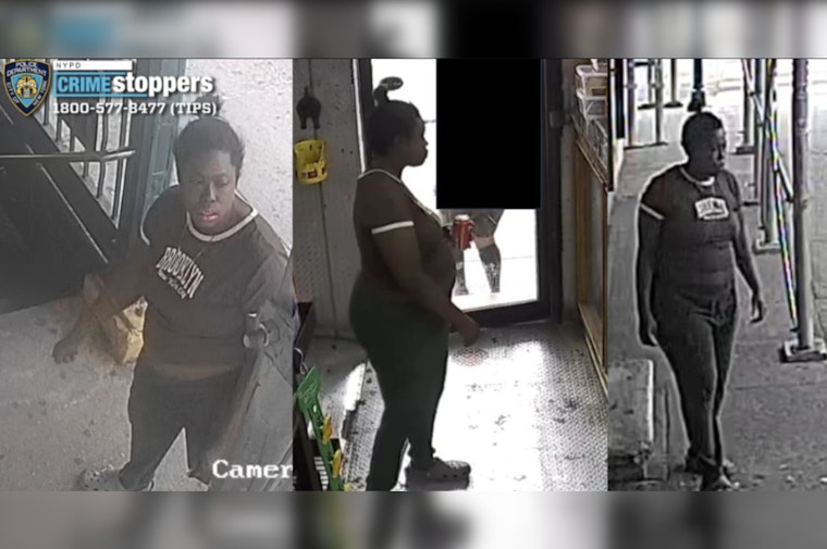 Purse Snatcher Robs 61-Year-Old on Bronx D Train Platform, Tosses Bag on Tracks