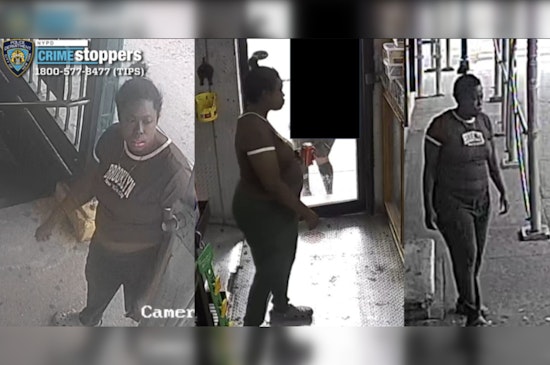Purse Snatcher Robs 61-Year-Old on Bronx D Train Platform, Tosses Bag on Tracks