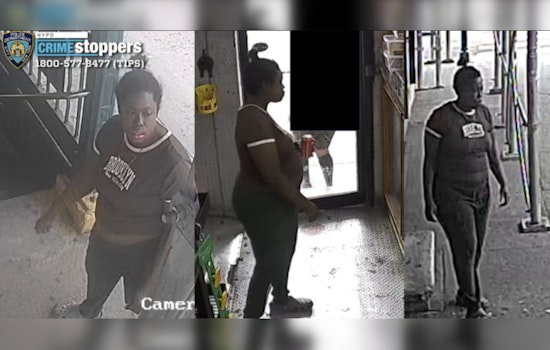 Purse Snatcher Robs 61-Year-Old on Bronx D Train Platform, Tosses Bag on Tracks