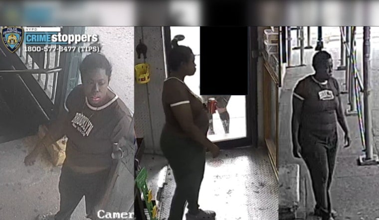 Purse Snatcher Robs 61-Year-Old on Bronx D Train Platform, Tosses Bag on Tracks