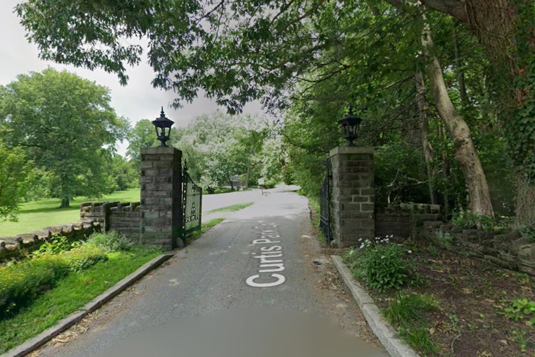 Rabid Coyote Shot Dead After Attacking Dog at Cheltenham's Curtis Park