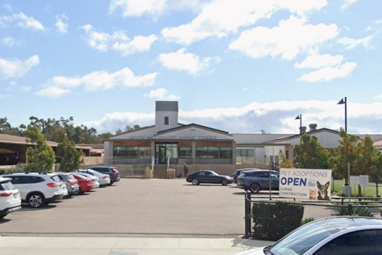Rancho Santa Fe Shelter Flies In Indian Principal For First Educator Fellowship
