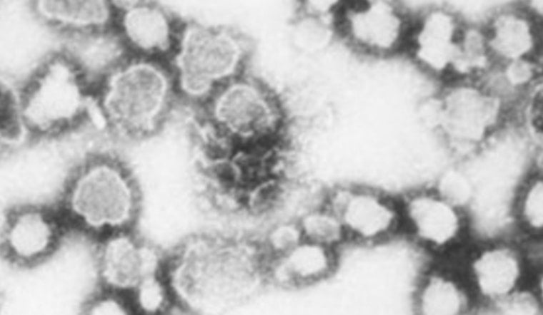 Rare La Crosse Virus Case Confirmed In East Tennessee