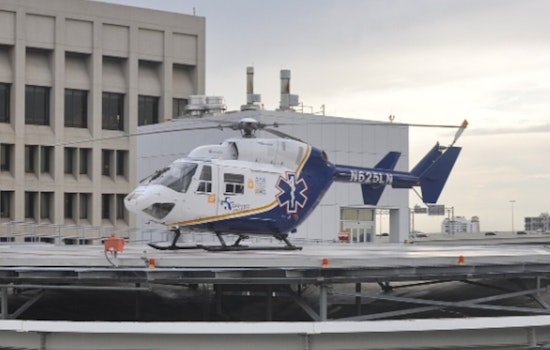 Red-Tailed Hawk Lands on Jacksonville's New “Dolly” Chopper Day After Parton's Death