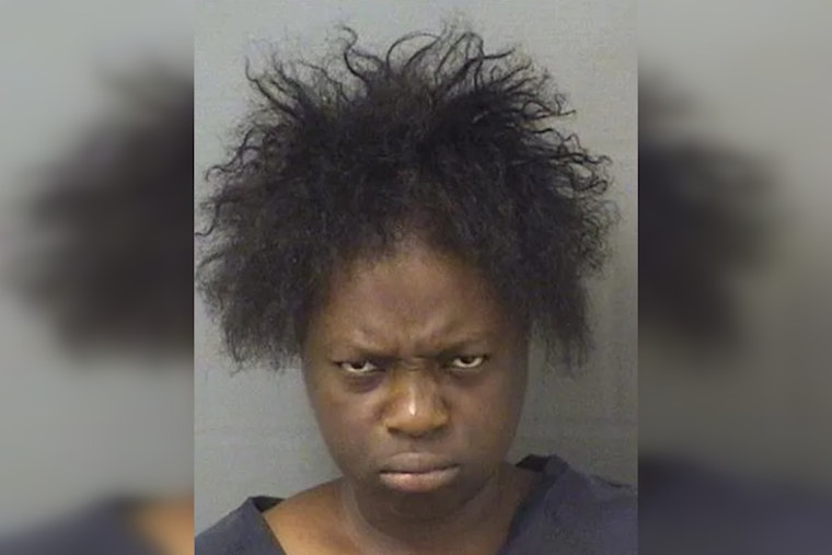 Riviera Beach Woman, 23, Accused of Halting Bus, Snapping Wiper for a Ride