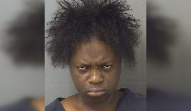 Riviera Beach Woman, 23, Accused of Halting Bus, Snapping Wiper for a Ride