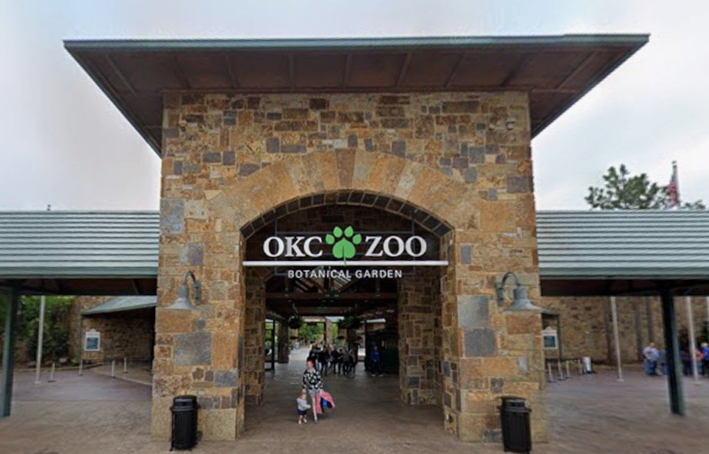 Roaring Mornings as Oklahoma City Zoo Debuts All-You-Can-Eat Dino Breakfast