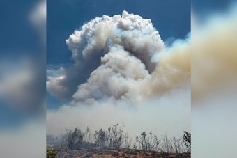 Rocky Canyon Fire Grows to 1,800 Acres, Pushes Toward Summit County Line