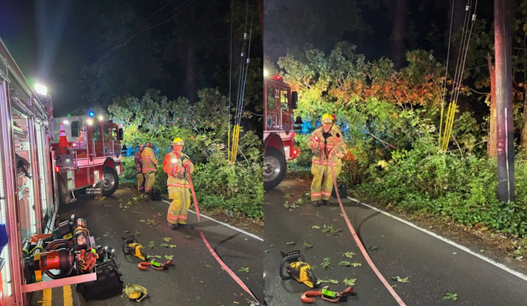 Rollover in Portland's Forest Park Traps Driver, Cat and Dog — All Pulled Free