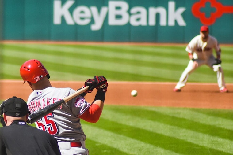 Rosie Reds Offer Six-Figure Gift to Rename Owl's Nest Ballfield