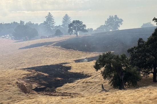 Ross Fire Torches 20 Acres Near Murphys, Forces Zone CCU-133 Evacuation