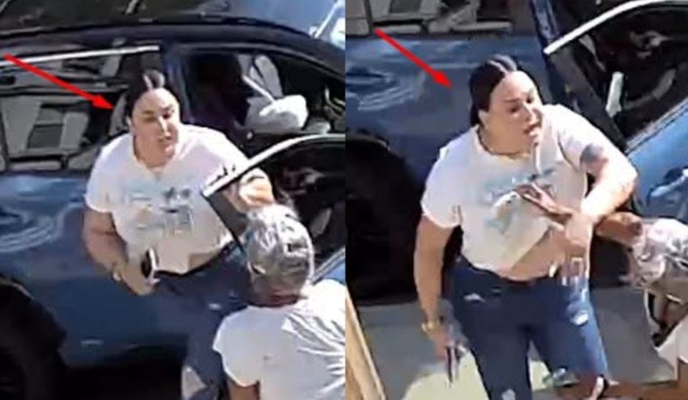 Roxbury Assault on Elderly Victim Sends Police Hunting for Woman Who Fled in SUV