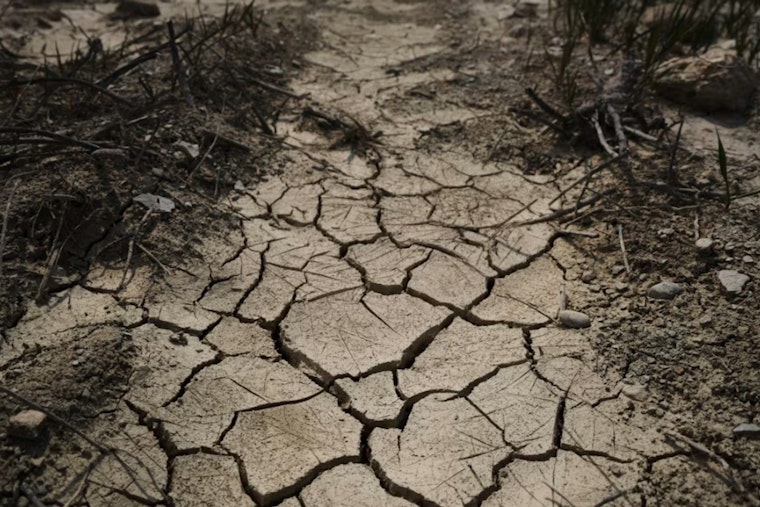 Sacramento Valley Farmland Sank 3 Feet in Drought, Study Finds Damage Is Permanent