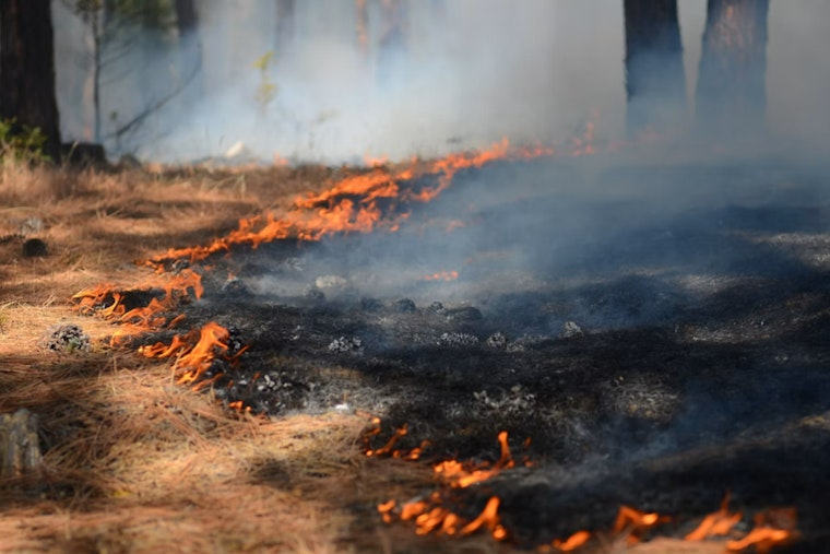 Saddle Road Wildfire Grows to 230 Acres, Highway Stays Shut Near Waimea