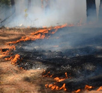 Saddle Road Wildfire Grows to 230 Acres, Highway Stays Shut Near Waimea